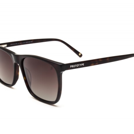 Lente de Sol Prototype Negro 0