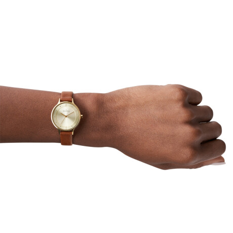 Reloj Skagen Fashion Cuero Marron 0