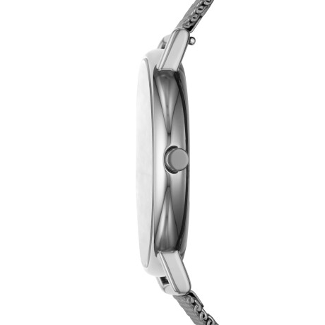 Reloj Skagen Clasico Acero Plata 0