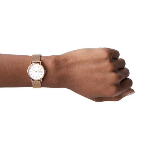 Reloj Skagen Fashion Acero Oro Rosa 0