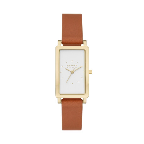Reloj Skagen Clásico Cuero Marrón 0