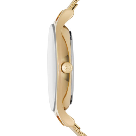 Reloj Skagen Fashion Acero Oro 0